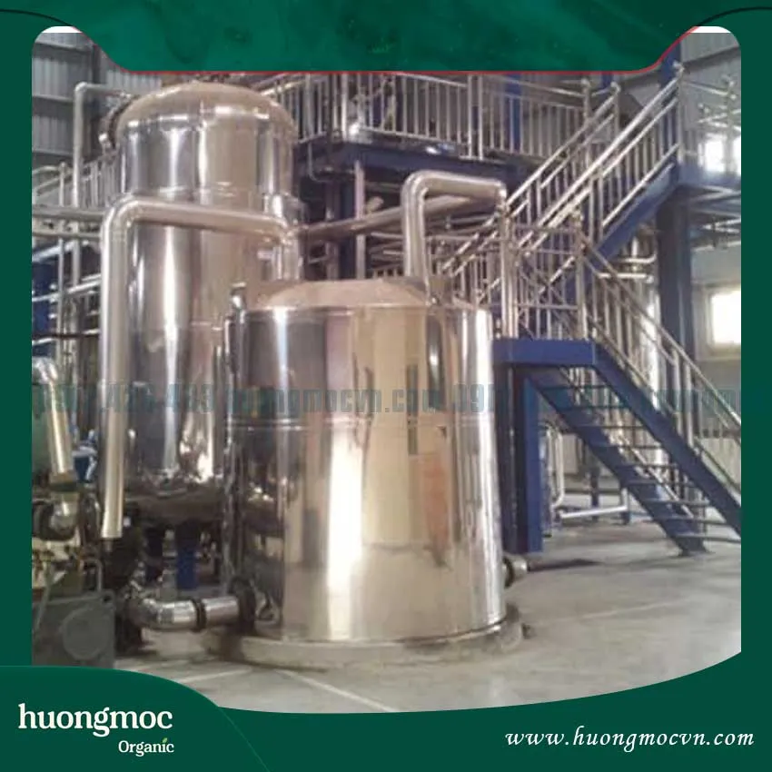 Thông tin về xưởng sản xuất tinh dầu trị rạn da thảo dược uy tín tại Hà Nội
