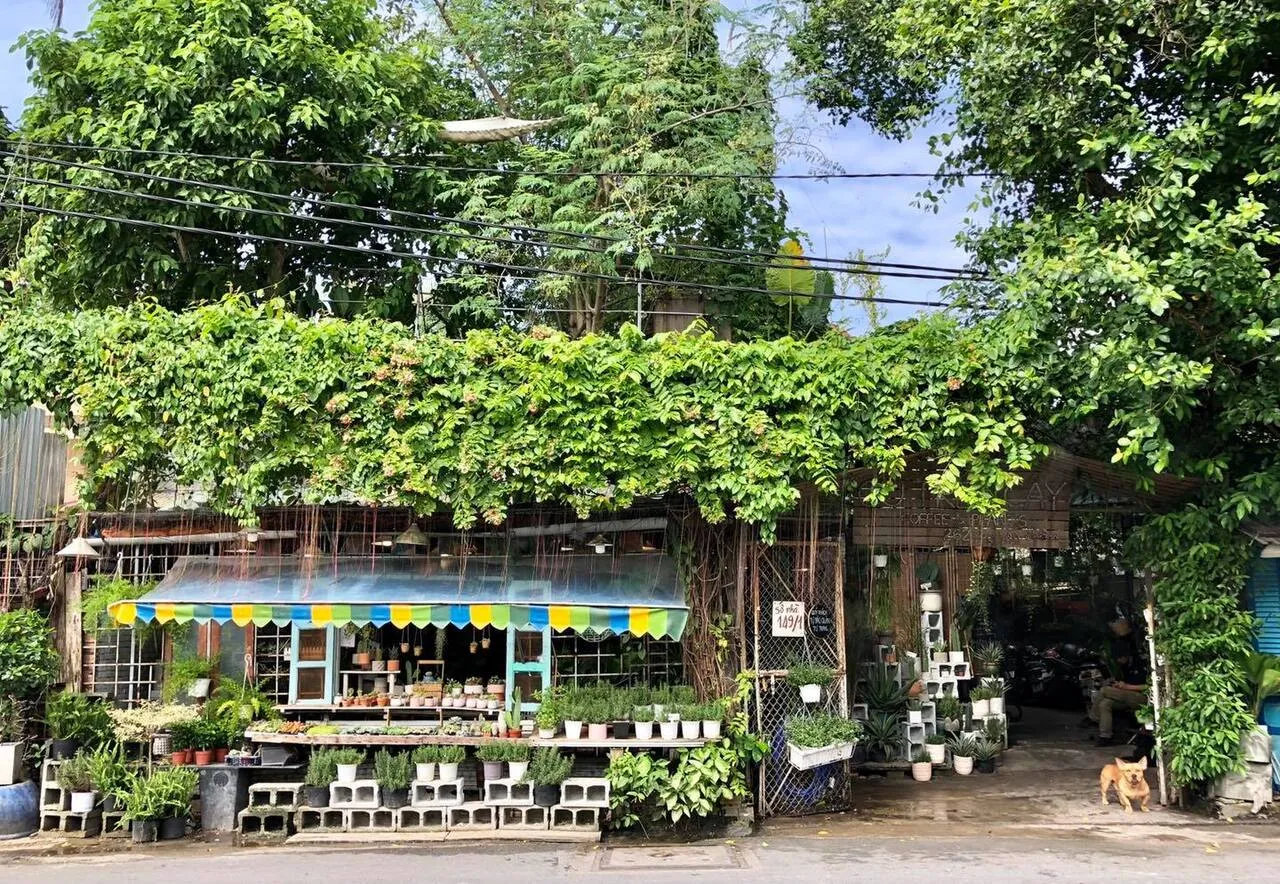 Cafe Cú Trên Cây Garden - Quán Cafe Tổ Chim Độc Đáo Ở Sài Gòn